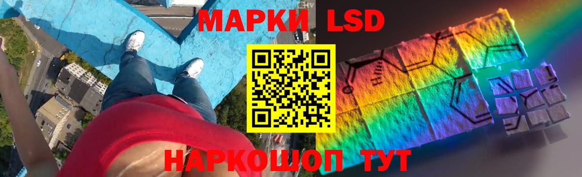 Кингисепп  ЛСД экстази кислота  Вход с VPN 