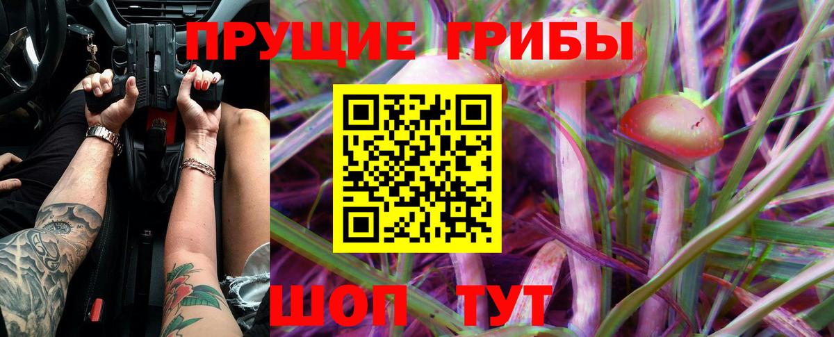 Псилоцибиновые грибы Magic Shrooms Кингисепп