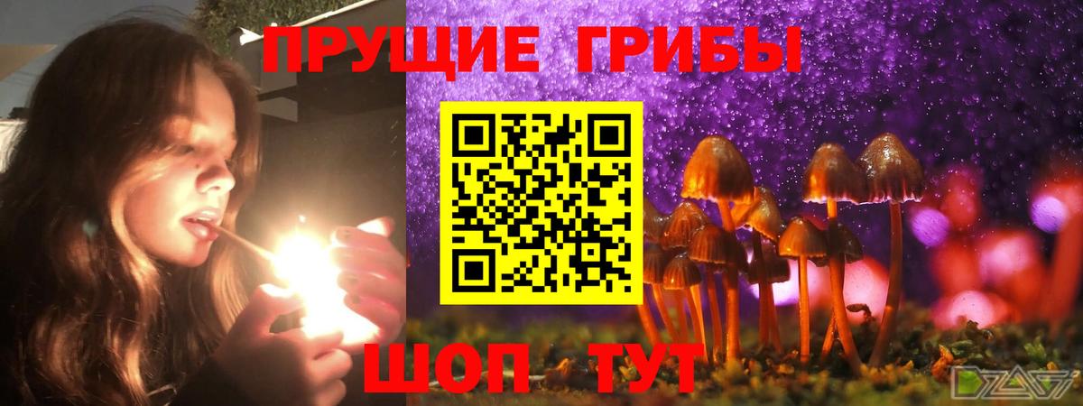 Кингисепп  Галлюциногенные грибы Cubensis  Галлюциногенные грибы прущие грибы  Вход с VPN 
